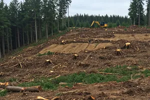 Erect and dismantle crew scheduling for access solutions