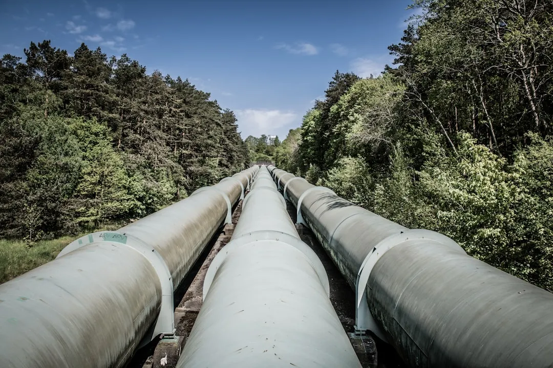 How Fast Are Industry Leaders Moving? Accelerate Cash Flow with Digital Approvals